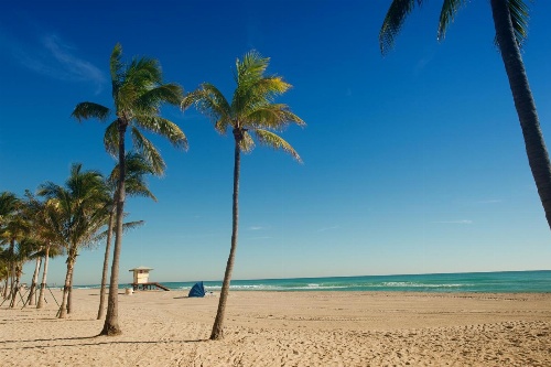 Hollywood Beachside Boutique Suites image 4